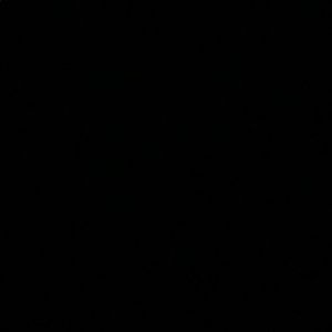 Meet your Posher, Sophia